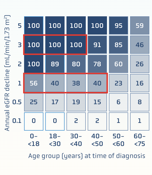 Color-coded chart showing lifetime kidney failure risk by age and eGFR decline, with annotations for high-risk patient groups.
